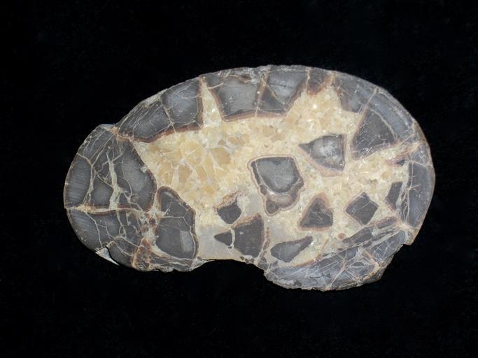 Como Identificar o Septarian by Sight?